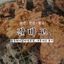양산 갈비고에서 맛본 맛있는 돼지갈비, 가족외식 다녀온 솔직후기
