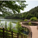 더숲요양병원 이미지