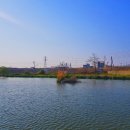 울성낚시터 이미지