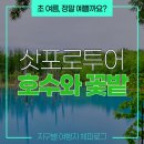초여름 삿포로 비에이 투어 #2 :: 지금은 꽃보다 호수입니다.
