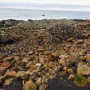 Belfast | 벨파스트 자이언트 코즈웨이, 캐릭-어-리드 로프 다리 투어 (Giant&#39;s Causeway Tour, Belfast) (2)