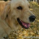 두아름농장 이미지