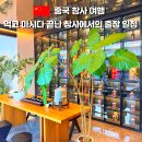 어두육미 | 중국 창사 출장 후기｜2일 동안 먹고 마시며 즐거웠던 일정