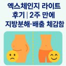 (주)엑스바이오 | 엑스체인지 라이트 후기｜2주 만에 지방분해·배출 체감함