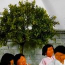 추억여행 이미지