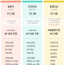 w11. 본식 DVD 영상 중앙필름 추천 계약 후기 (짝꿍 코드 250524 하리) 페이백!!