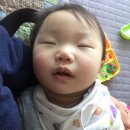 [육아일기] 327일(10개월+23일)아기 쩌니의 하루: 물놀이 좋아 엄빠 좋아!