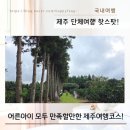 큰고모손칼국수 | 제주도 단체 가족여행 필수 코스? 귤따기 체험부터 마사지까지 제주 실내 코스 추천!