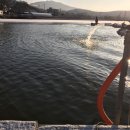 신애낚시터 이미지