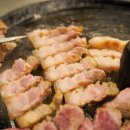 목구멍고양