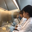 만성축산 이미지