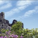 하나컴퍼니 이미지