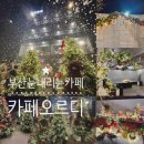 오르디(ORRD) | 트리 카페 눈내리는 카페 사상 오르디 ORRD 주말 저녁 방문 후기 (+ 눈내리는 시간, 분위기, 방문 꿀팁...