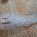 쌍용스윗닷홈경로당 이미지