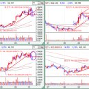 (주)세하라인 이미지