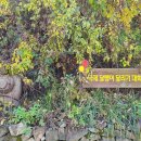 교촌2리 이미지