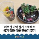공기정화 스칸디아모스 만들기 | 어르신들의 건강한 노후 생활을 위한 &#39; 공기정화 식물 화분 만들기&#39; 현장 취재 후기