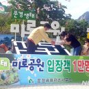 미로달