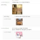 유쾌유쾌 중국에서 유명한 단또촌(고양이 짤) 이미지