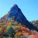 단풍