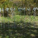 삼육유치원 이미지