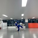 탄방유도관 이미지