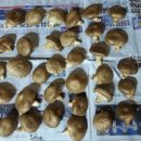 하늘문화센터 헬스장 이미지