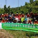 대풍1리 이미지