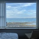 로비나발리168 이미지