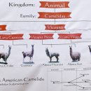 번영농장 이미지