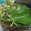 기장산곰장어 이미지