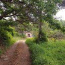 내가면-1 이미지