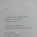 영자수선