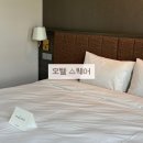 일신세탁 | 안산 4성급 호텔 스퀘어 | 더블베드 시티뷰 내돈내산 숙박 후기