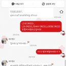 제일탑한의원 | Ep.34 [페어립트] 2부 드레스, 연회장 드레스 피팅+계약후기