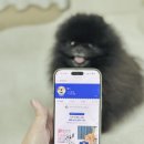 후츄스토어