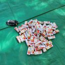 서강어린이집 이미지