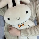 메디피엘