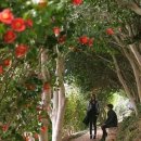 게스트하우스장 이미지