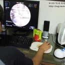 헵시바 F&B 이미지