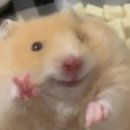 우리짐 홍대점 | 방탈출 기록 14 | 제로월드 홍대점 '녹스(NOX)' 후기