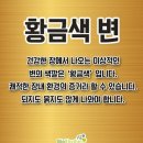 대변색깔로 보는나의 건강상태! ( 황금색변? 검은색변? 붉은색변? 녹색변? ) 이미지