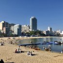 송도해수욕장 이미지
