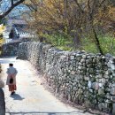 돌담길 이미지