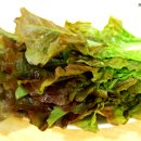 동서식당