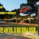 안면도힐링캠핑장 이미지