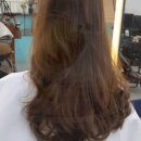 냥만미용실 이미지