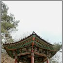 사송정 | 공주 사송정(四松亭), 명탄서원(鳴灘書院)_19224