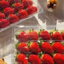 한우림농장 이미지