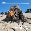 당곡3로1L | [관악산] 관악산 정상 연주대까지 빠른 코스 추천, 등산 초보 후기